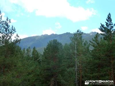 Garganta del Arroyo de Minguete - Puerto de Fuenfría;rutas de senderismo en la pedriza excursiones 